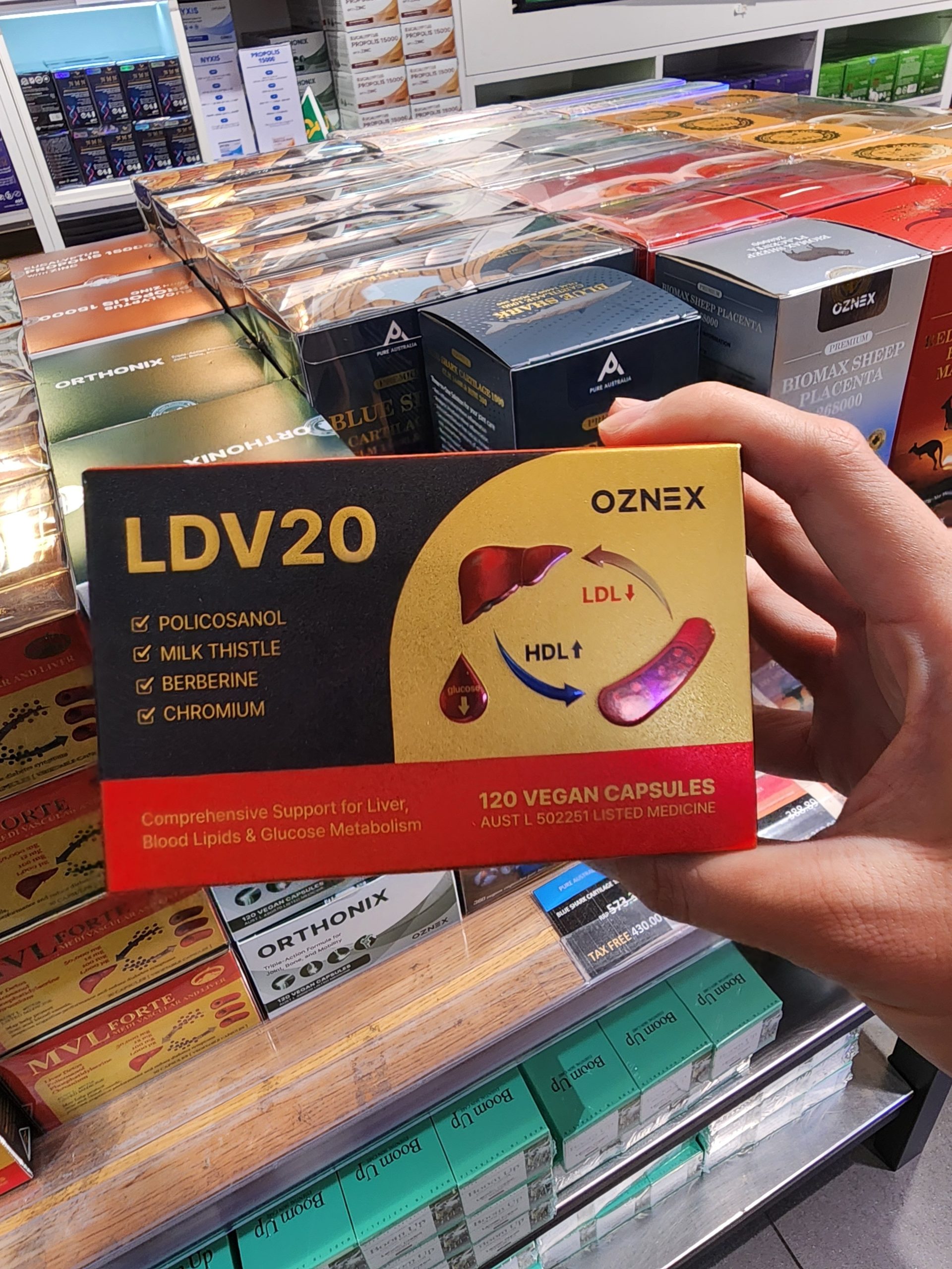 LDV20 부모님 선물