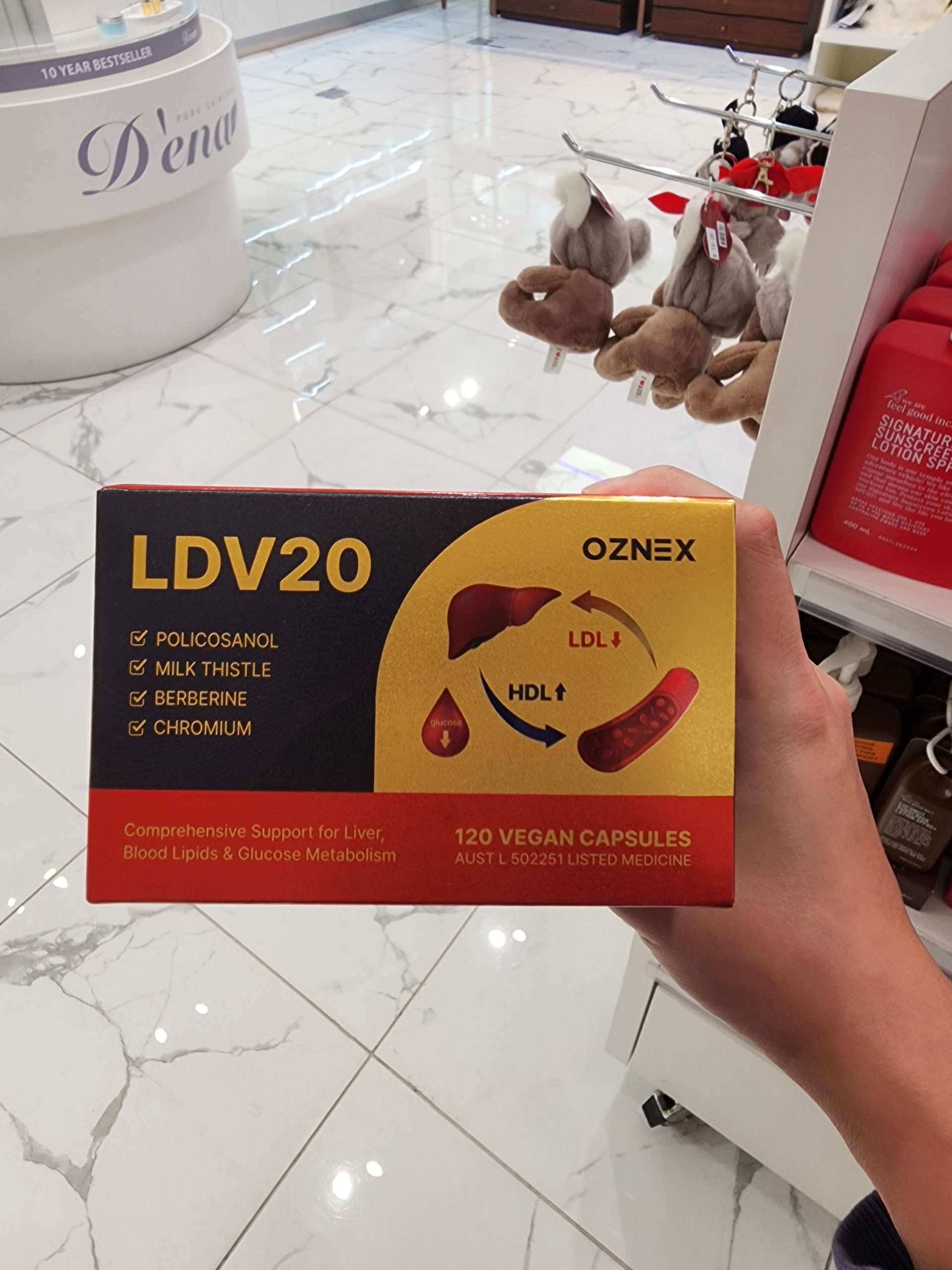 LDV20 부모님 선물