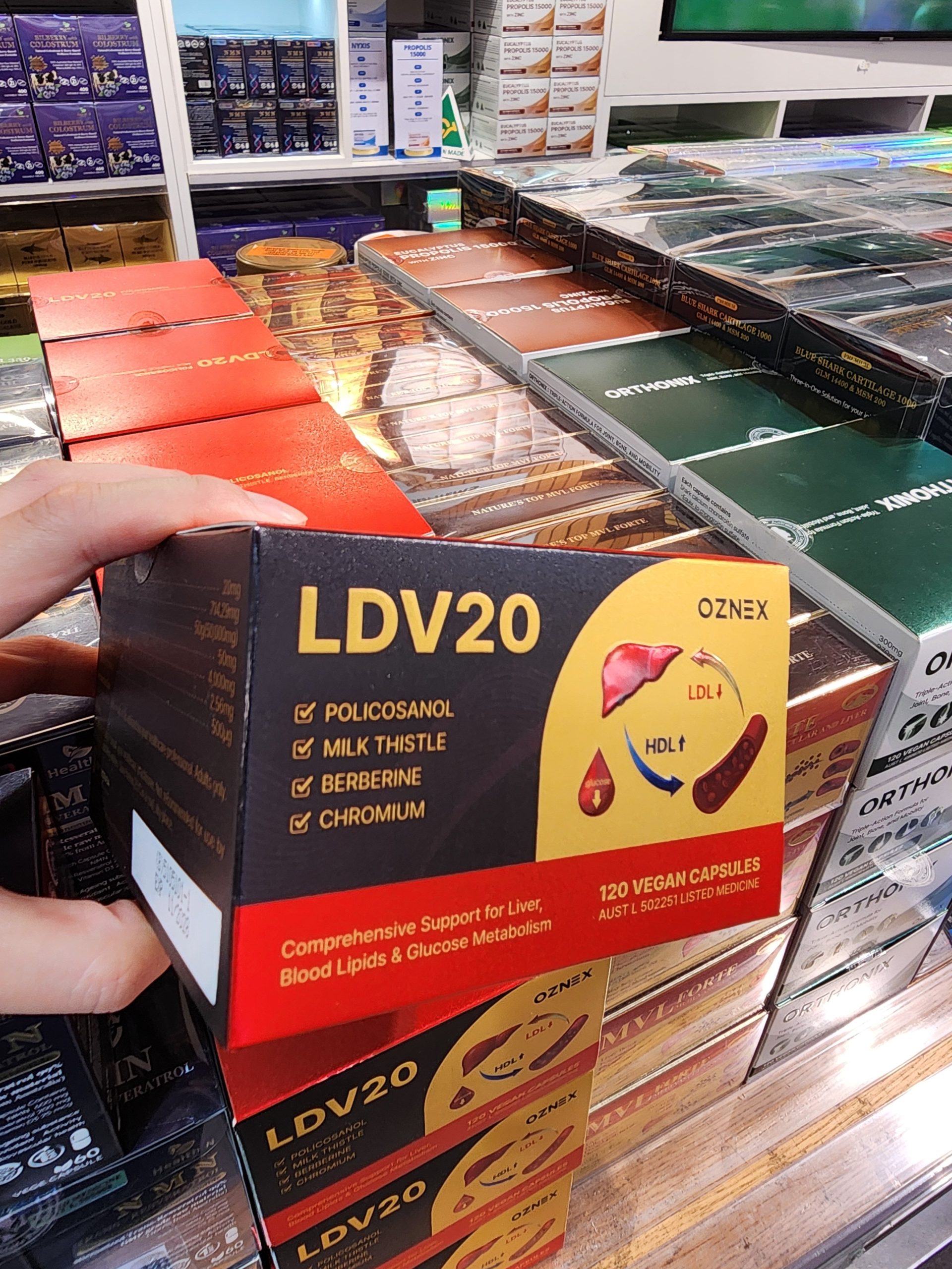 LDV20 부모님 선물