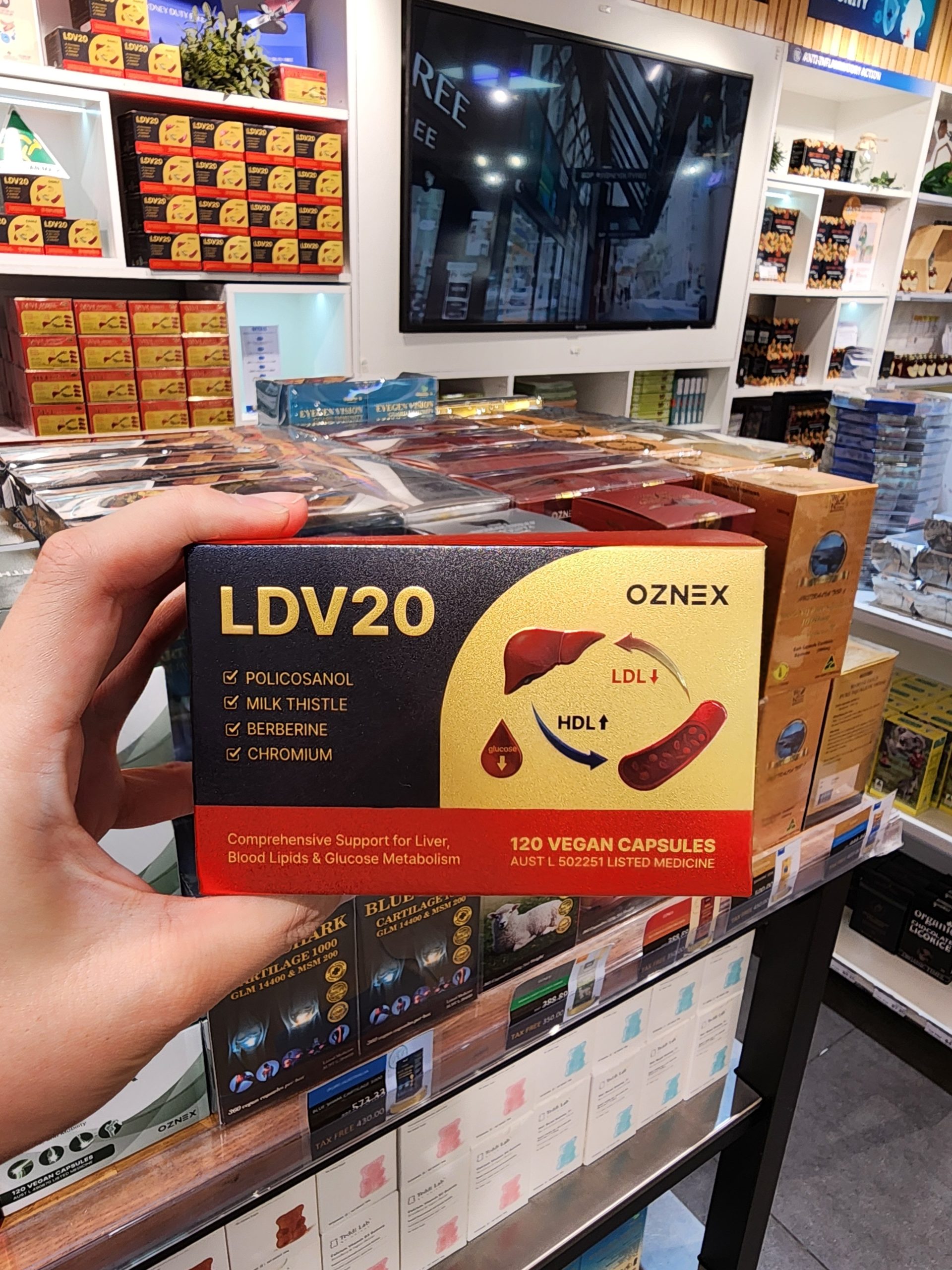 LDV20 부모님 선물